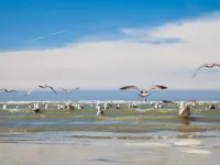 Ibis Budget Oostende Airport فنادق في Middelkerke