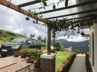 Planters Punch Hotels near Dolphin's Nose
