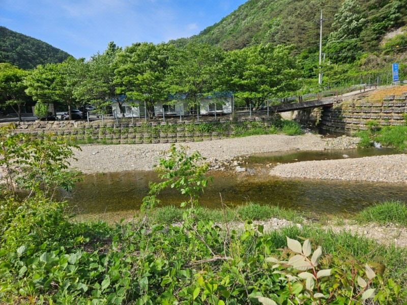 금산 파랑새펜션 전경