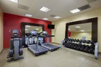 希爾頓安泊飯店-聖路易斯機場 - 健身房