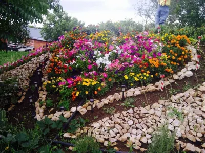 Millstream Inn Guest House Hotels in 