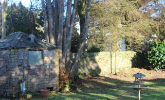 Yewtree Cottage - 'The Art House' and Garden