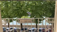 Notti Sull'Adige