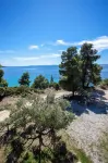 Alterra Vita Homes by the Sea Hotels in Paradisos