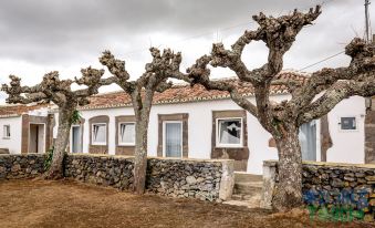 Casa Dos Cal os in S o Mateus da Calheta