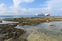 Confortable Casa Frente Al Mar de Cozumel # 16 - Cho phép mang theo thú cưng
