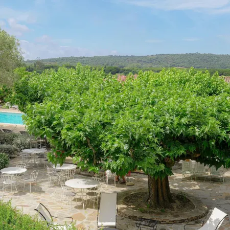 Hôtel la Figuière