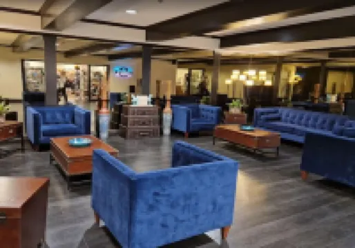 LVStripHouse 公寓可住多達14人