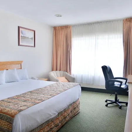 Hotel Sicomoro