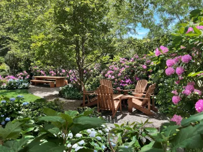Public, an Ian Schrager Hotel فنادق في نيويورك