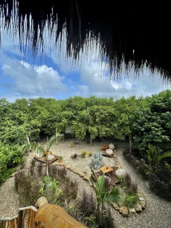 Ecoxata - Adults Only