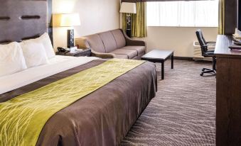 Comfort Inn Downtown Charleston