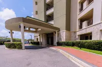 Condo 1 One Bed, Palm Beach