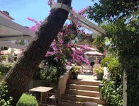 Ascot Hotel Büyükada Hotels in Adalar