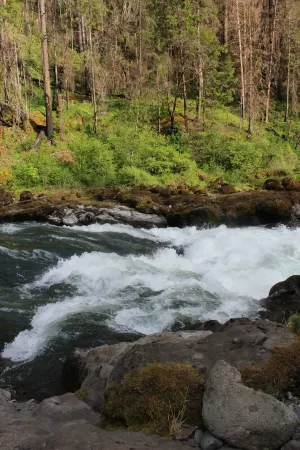 The Farmhouse on the North Umpqua River
