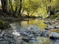 Chambres d'hôtes Les Chaillottes Hôtels à : Les échelles