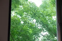 Hotel Karuizawa Cross - Scenic