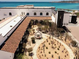 Orchid House Baja