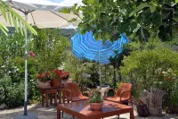 Feeloxenia Corfu Apartments Hotels in Thinali