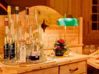 Hotel Grüner Wald - bar