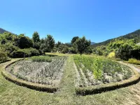 Mapuche Trekan Hotels in 