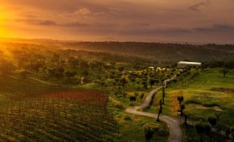 Herdade da Rocha - Boutique Lodge