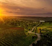 Herdade da Rocha - Boutique Lodge Hotels in Alter do Chao