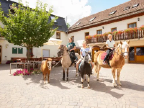 ペンション フェーリエンホフ フィッシャー フライブルクのホテル