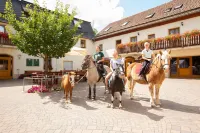 لاند جاستهوف فيشر فنادق في 