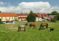 Pension Lindenhof Drabsch