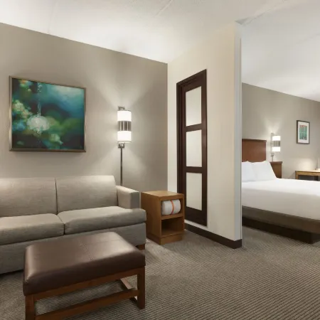 BNA SUITES by IHG