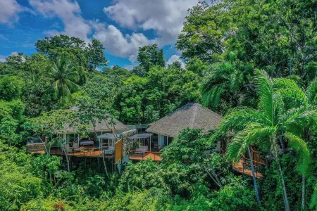 Lapa Rios Lodge Отели в г. Павонес