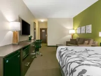Sleep Inn & Suites Columbia I-65 Hotels in Columbia