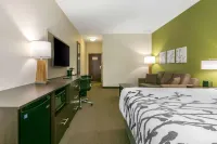 Sleep Inn & Suites Columbia I-65