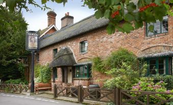 The Museum Inn