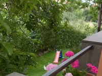 Hotel Louis II Hotels in Ciampino