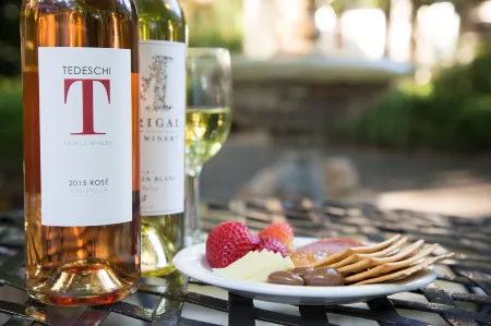 Cottage Grove Inn Отели рядом с достопримечательностью «The Carmel Gallery in Calistoga»