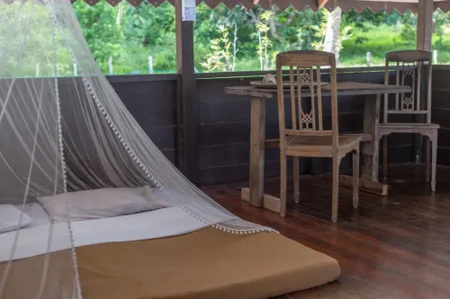 Wild Pasir Panjang - Pet friendly