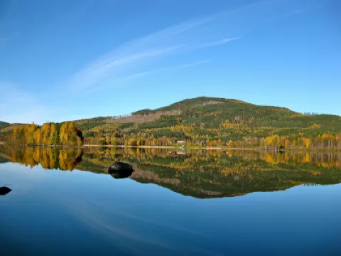 Sara's Bed and Breakfast Hotels in 