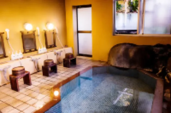 Hakone Onsen Ryokan Yaeikan