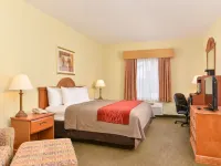 Comfort Inn Marrero-New Orleans West Các khách sạn gần Công viên Audubon