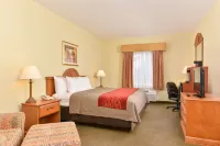 Comfort Inn Marrero-New Orleans West Hotels in Marrero
