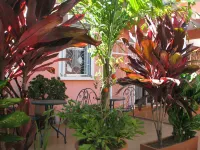 Avamada Lodge Hotels near Digue Market