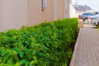 Tenny's Place Apartments