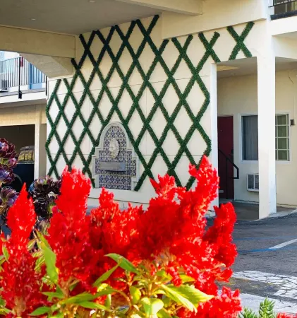 Hotel Villa Serena Отели рядом с достопримечательностью «Olaf Wieghorst Museum & Western Heritage Center»