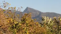 Nalanda Relaxation and Caping Site Hotels near Bowatenna Reservoir | බෝවතැන්න ජලාශය