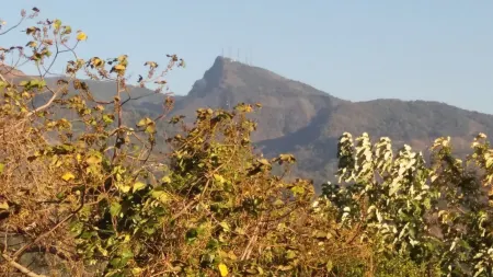 Nalanda Relaxation and Caping Site