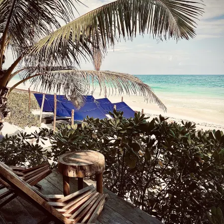 Libelula Tulum Beachfront Hotel