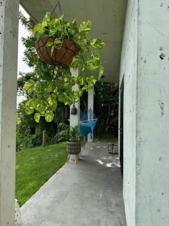 The Serene House Bed & Breakfast