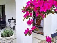 Boom69 Guesthouse Hotels in Northern Free State